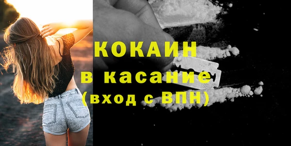 мдпв Заводоуковск
