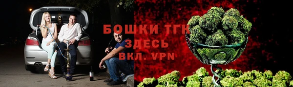 мдпв Заводоуковск