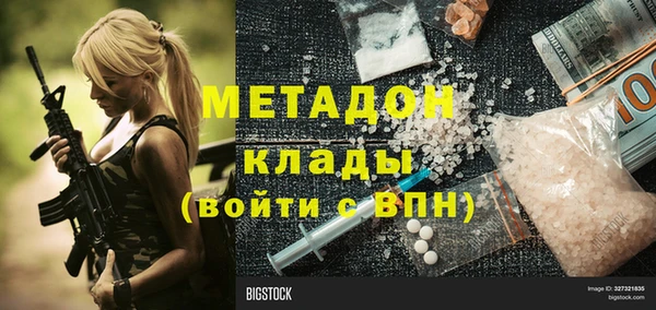 прущие грибы Заволжье