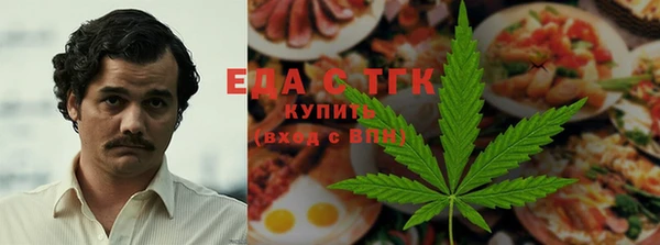 мдпв Заводоуковск