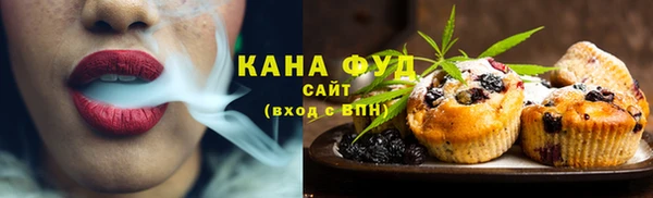 гидра Инсар