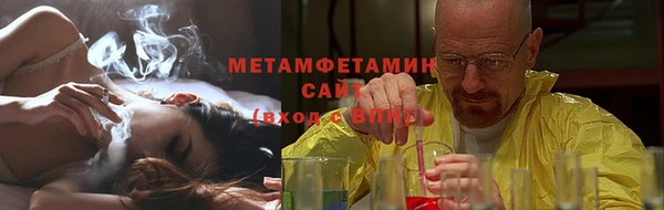 прущие грибы Заволжье