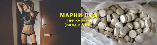 прущие грибы Заволжье