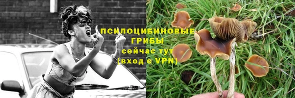 MESCALINE Зерноград