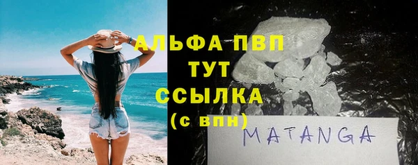 прущие грибы Заволжье