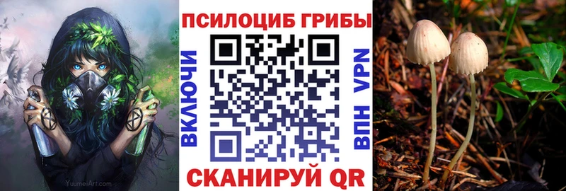 Псилоцибиновые грибы мицелий  Купить  Когалым 